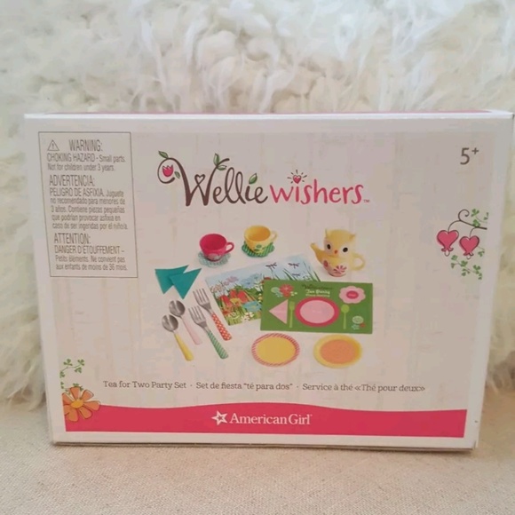 american girl wellie wishers tea set